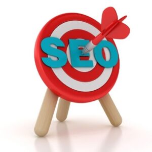 Diseño Web Seo Ripollet Agencia Vecaseo